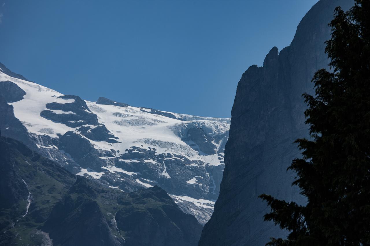Ferienwohnung Hirschen Grindelwald Bagian luar foto